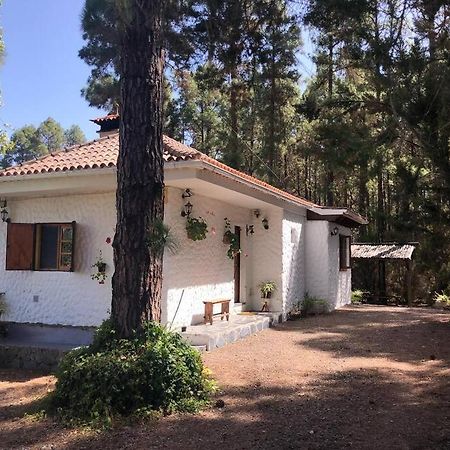 Floral Garden House Villa Icod De Los Vinos Ngoại thất bức ảnh