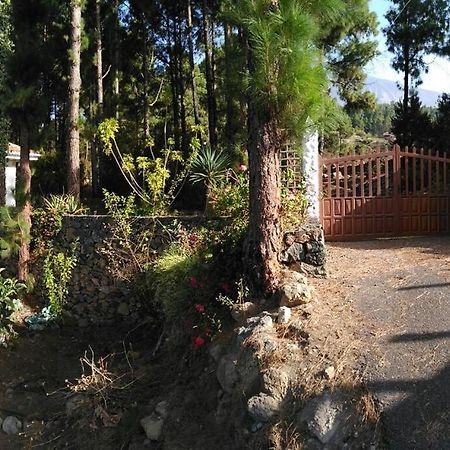 Floral Garden House Villa Icod De Los Vinos Ngoại thất bức ảnh