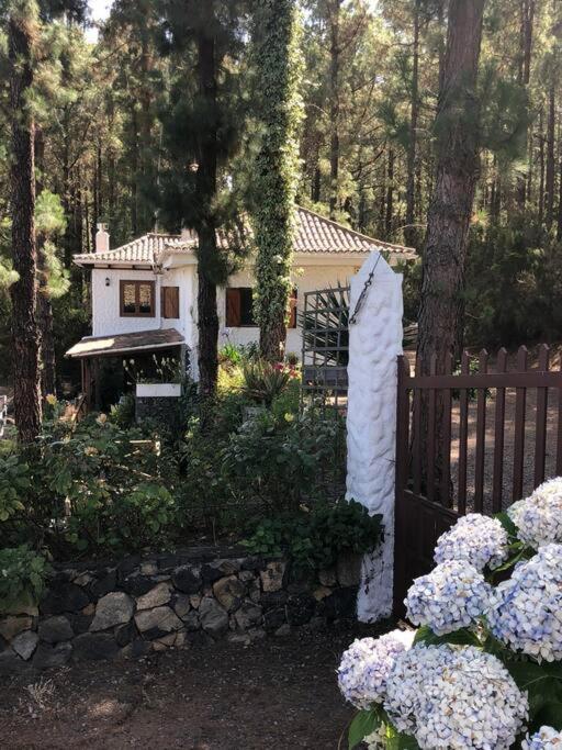 Floral Garden House Villa Icod De Los Vinos Ngoại thất bức ảnh