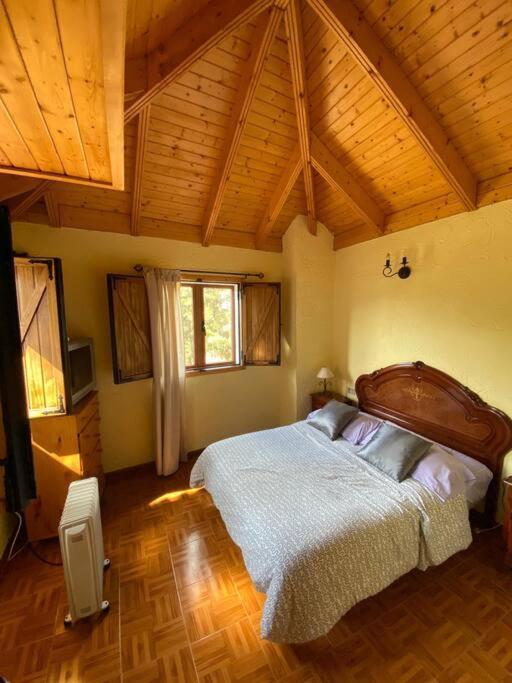 Floral Garden House Villa Icod De Los Vinos Ngoại thất bức ảnh