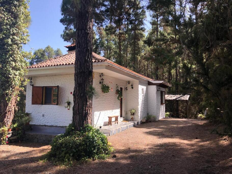 Floral Garden House Villa Icod De Los Vinos Ngoại thất bức ảnh