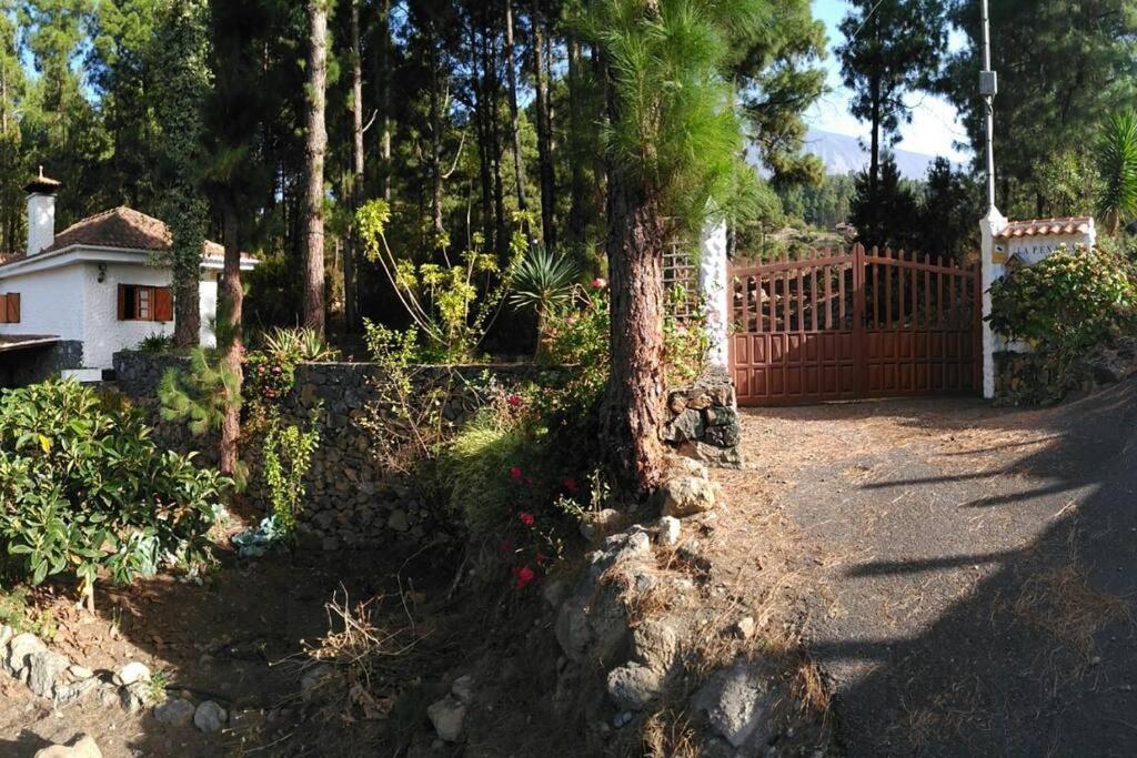 Floral Garden House Villa Icod De Los Vinos Ngoại thất bức ảnh