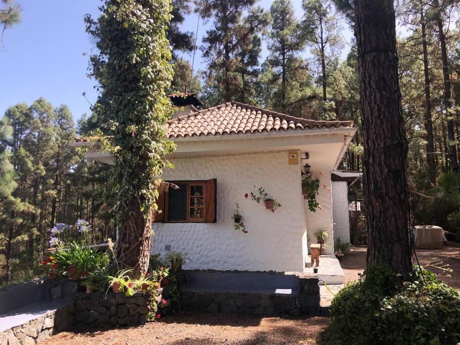 Floral Garden House Villa Icod De Los Vinos Ngoại thất bức ảnh